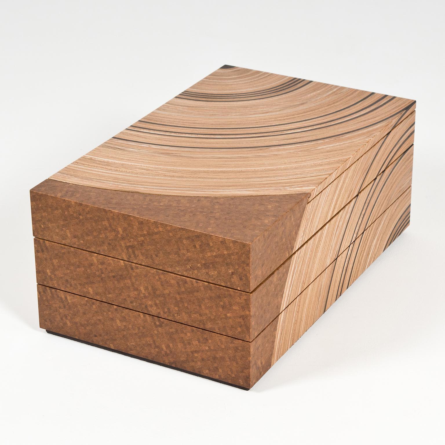 Contemporary Keepsake Box in Elm and Fumed Oak 'Family Tree' by Edward Johnson For Sale 1