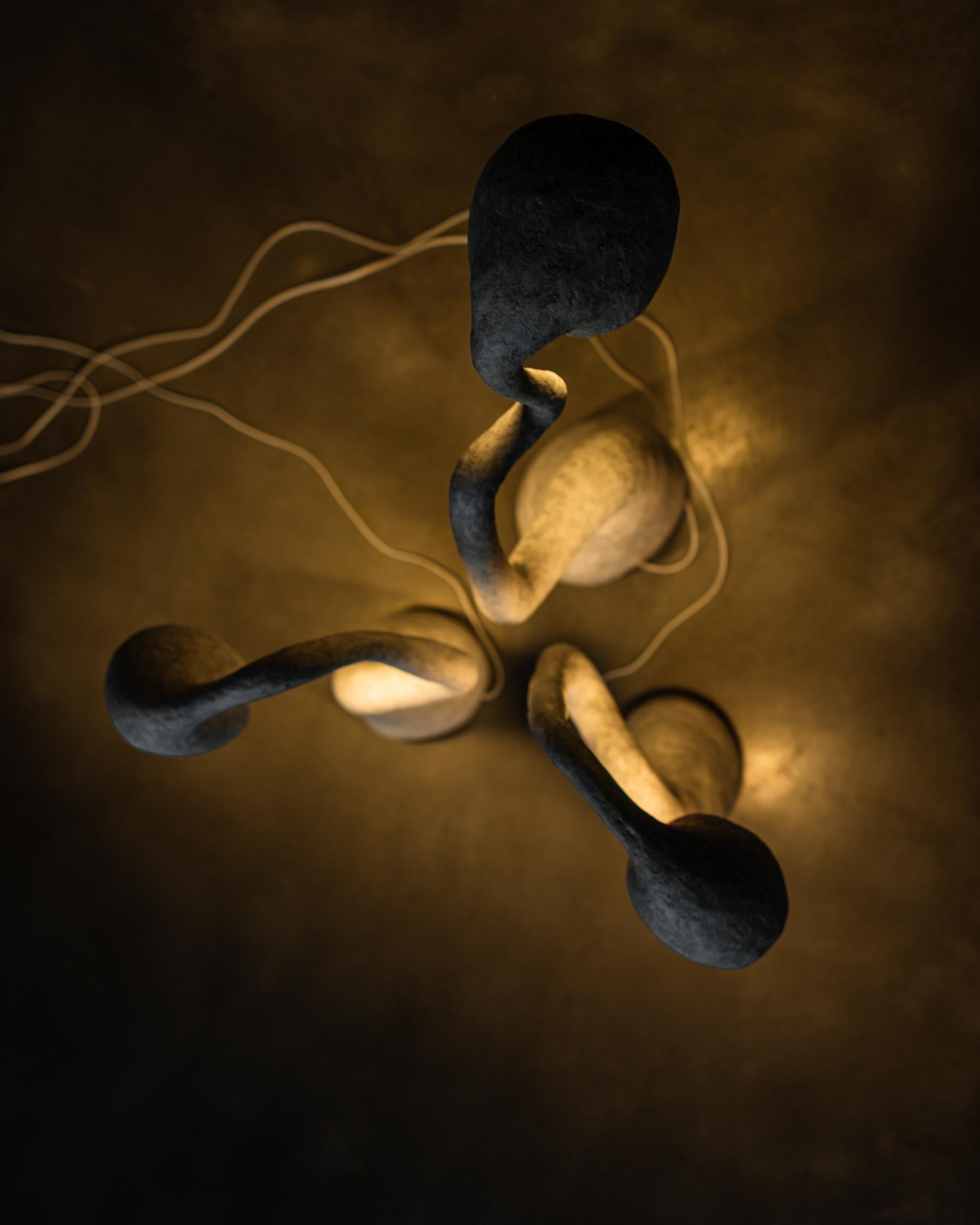 Contemporary Lamp 