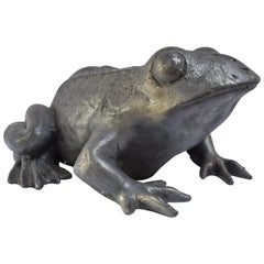 Used Contemporary Lead Frog