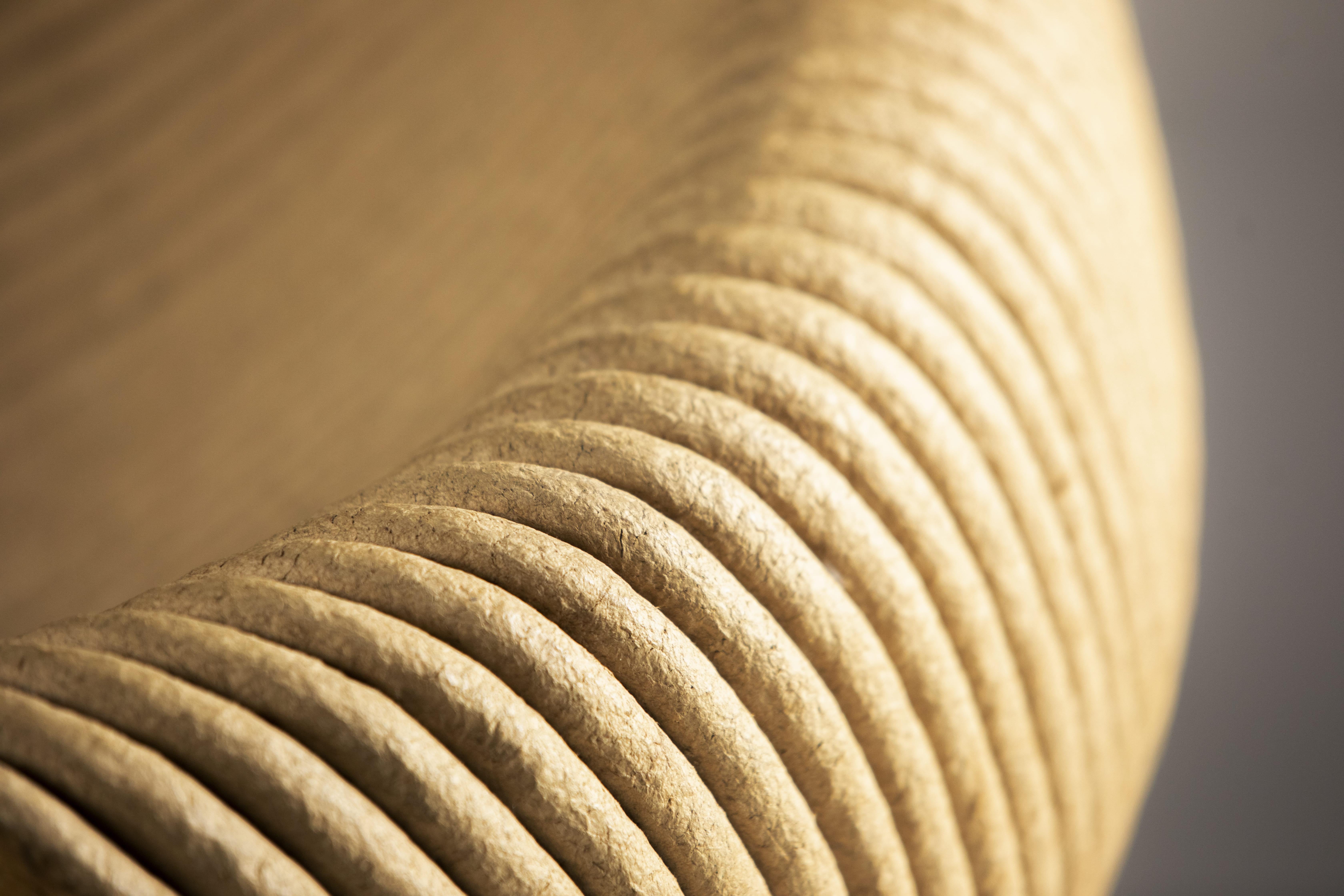Contemporary Leiras Lounge Chair by Domingos Tótora, Brazil, 2013 1