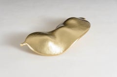 Escultura contemporánea de alubia de Lima en latón de Robert Kuo, repujada a mano, limitada