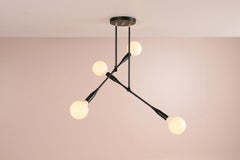 Contemporary Linear Thia Duo Light in Black Poppy by Studio Dunn