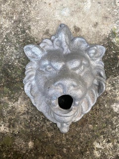 Contemporary Lion Spout