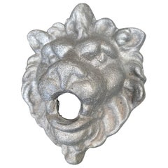 Contemporary Lion Spout