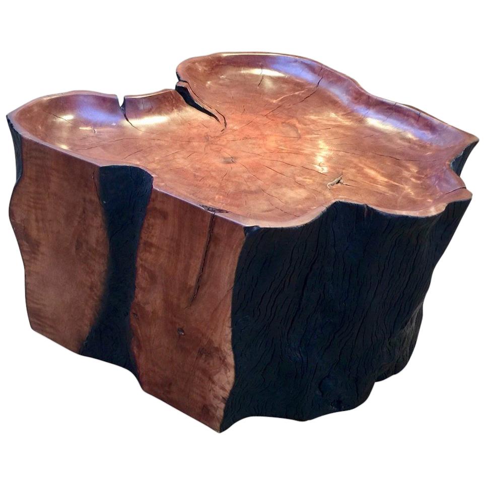 Contemporary Litchi Wood Coffee Table / Stool by Jerome Abel Seguin