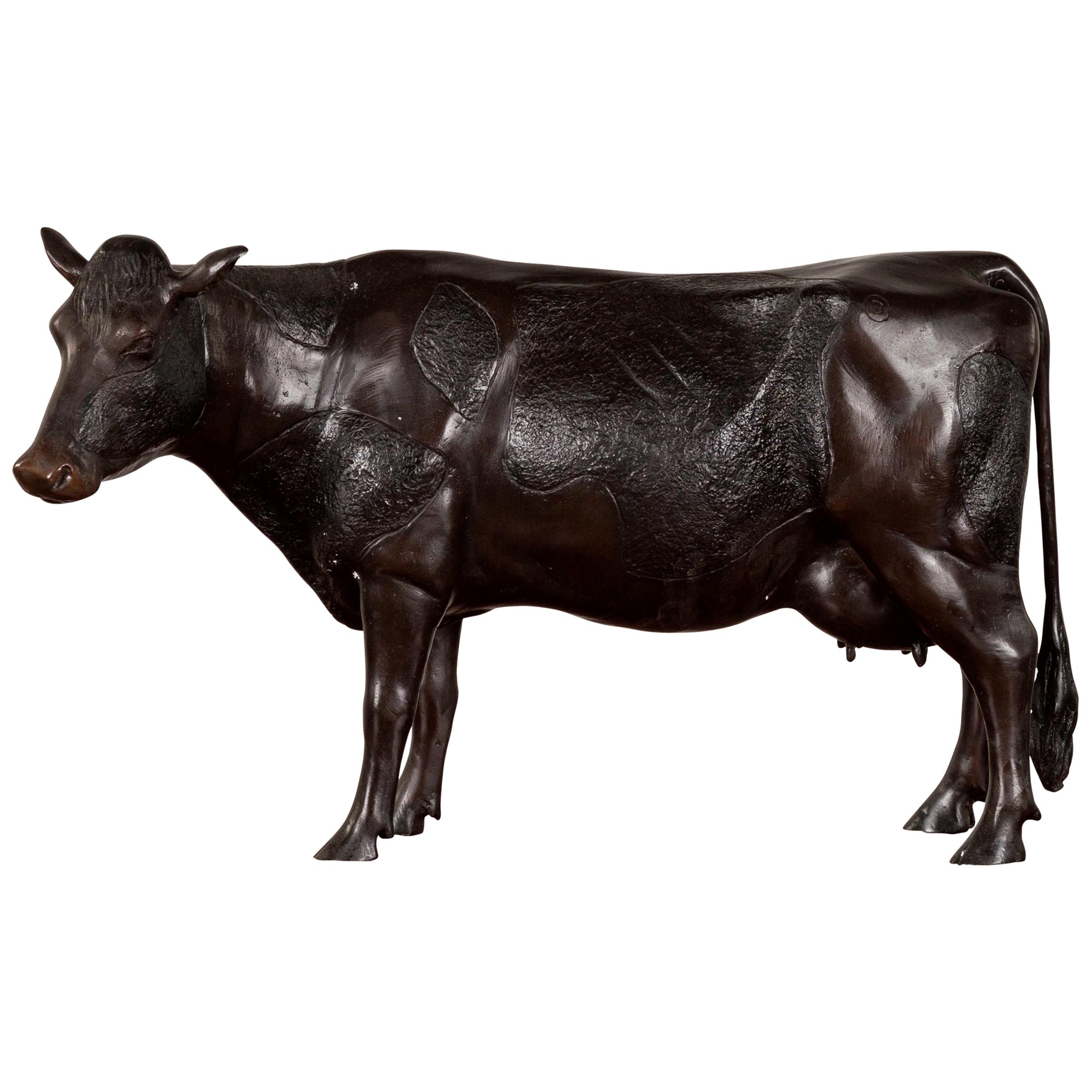 Contemporary Lost Wax Cast Bronze Custom Design Sculpture of a Holstein Cow
