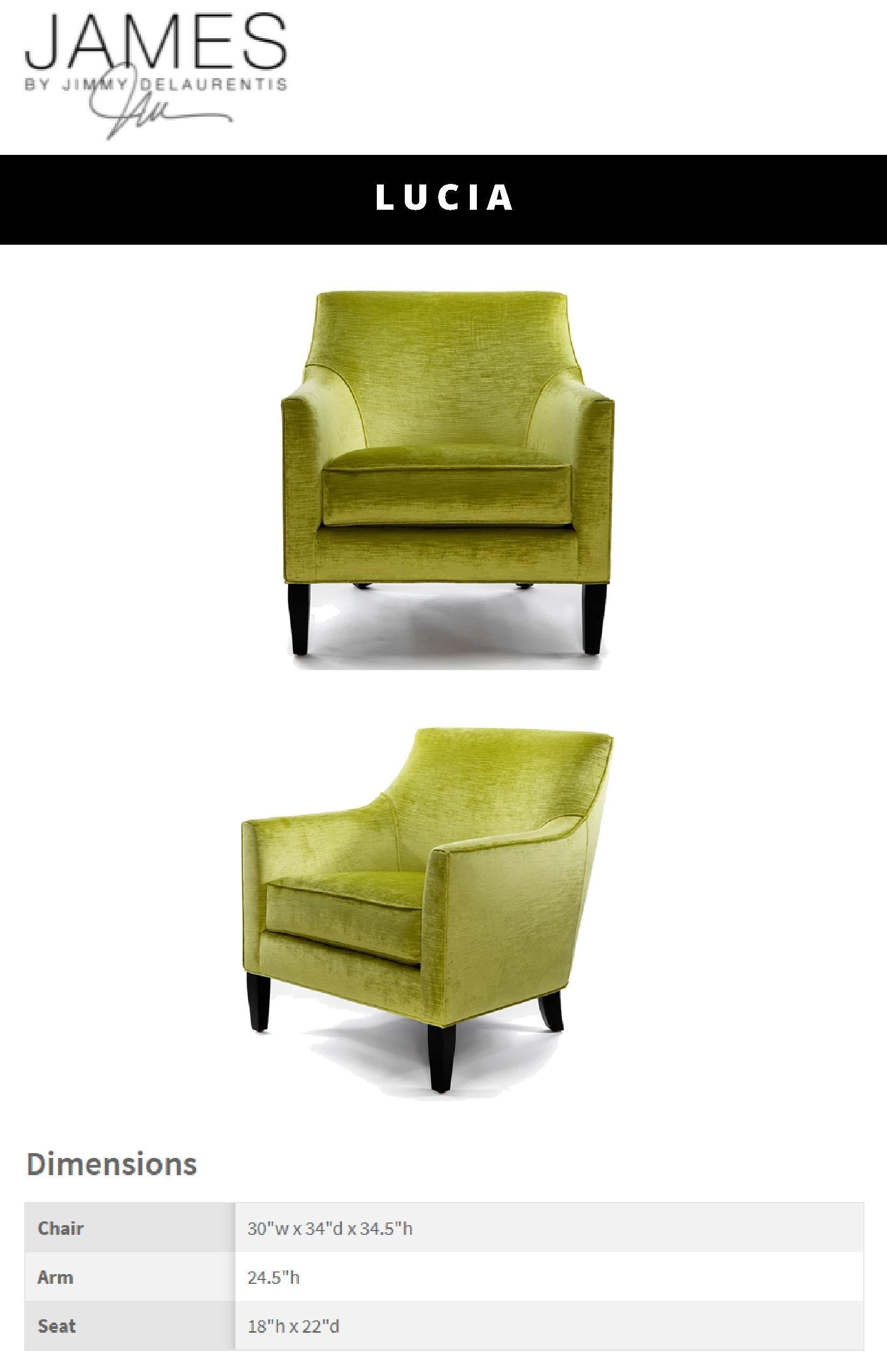 Contemporary Lucia Armchair Handcrafted by James by Jimmy Delaurentis In New Condition For Sale In Philadelphia, PA