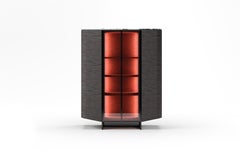Contemporary high storage unit, velvet interior, led light and glass doors