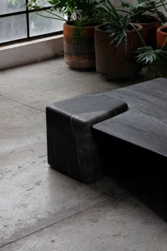 Contemporary Mexican Low Table EM02 in Black Marble and wood