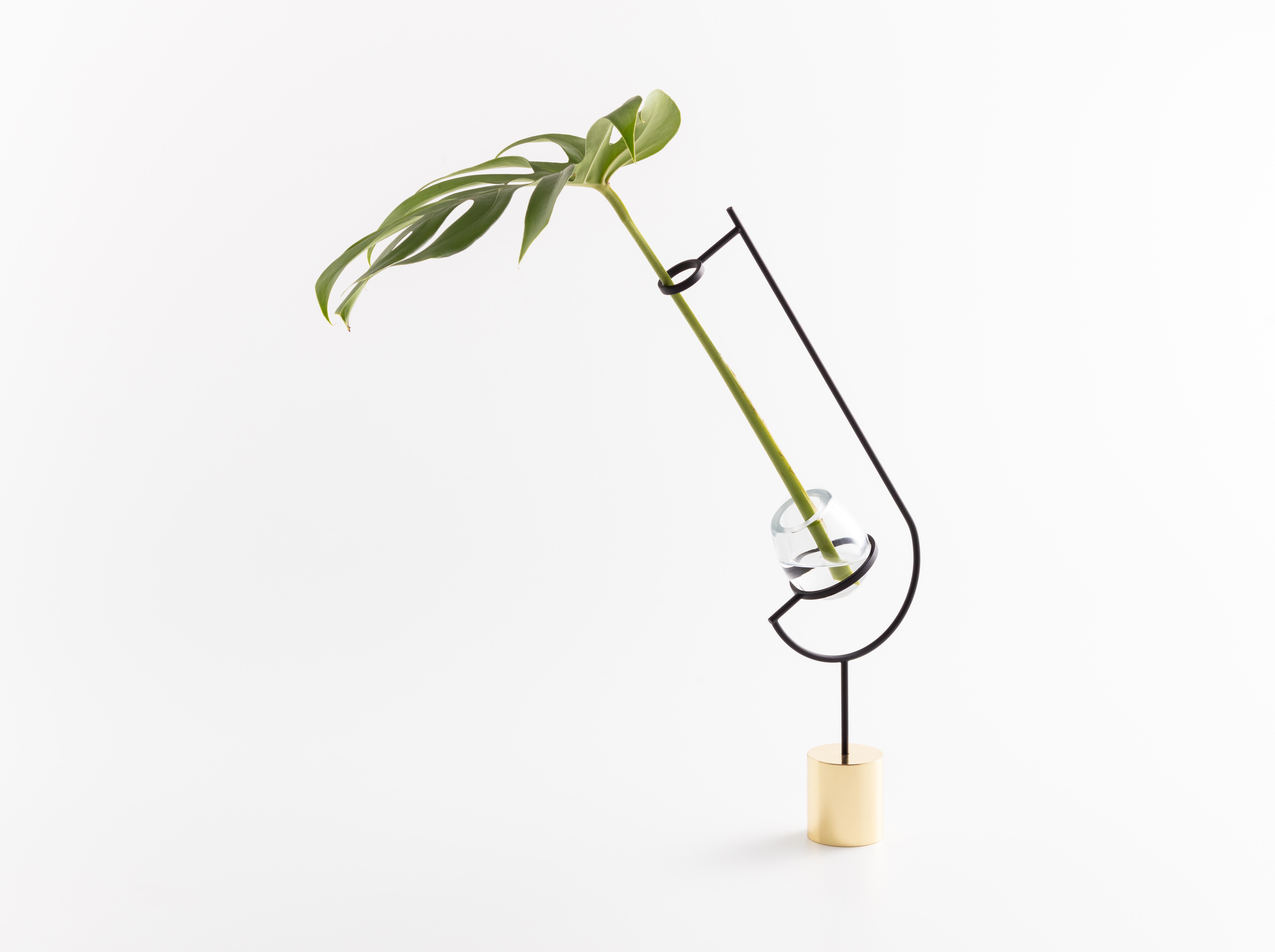 V3 vase - Monstera by Paulo Goldstein, Brazilian contemporary design is part of a series of vases inspired in the observation of the natural lines of the flowers and leaves held in them, where the lines of the vases were designed to enhance and