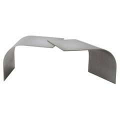Contemporary, minimalist grey stainless steel Wals low table by Maria Tyakina