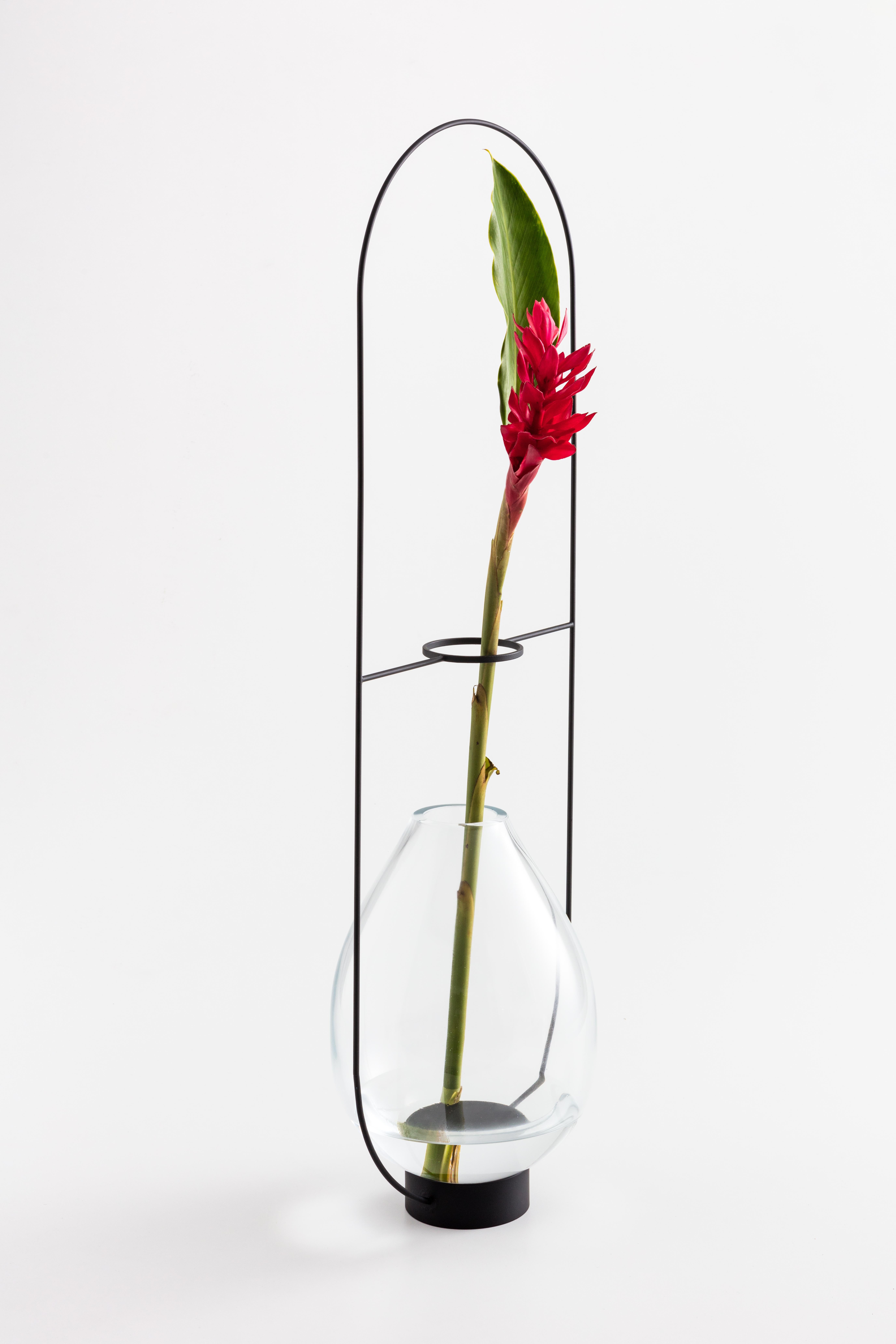 Die Vase ELO G von Paulo Goldstein, brasilianisches zeitgenössisches Design, mundgeblasenes Glas und Stahl, gehört zu einer Serie von Vasen, die durch die Beobachtung der natürlichen Linien der darin enthaltenen Blumen und Blätter inspiriert wurden.