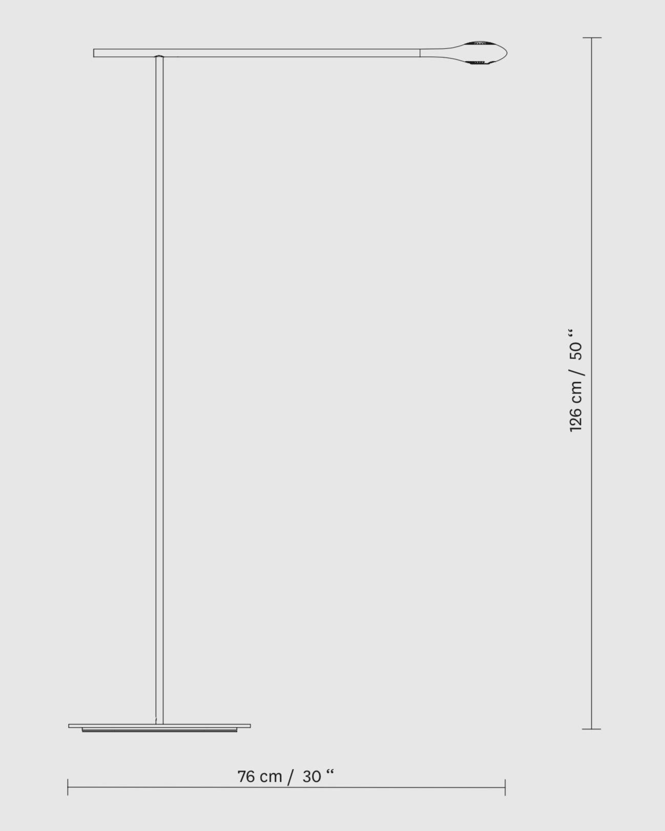 Contemporary Minimalistic Carbon Light Floor Lamp by Tokio. For Sale 1