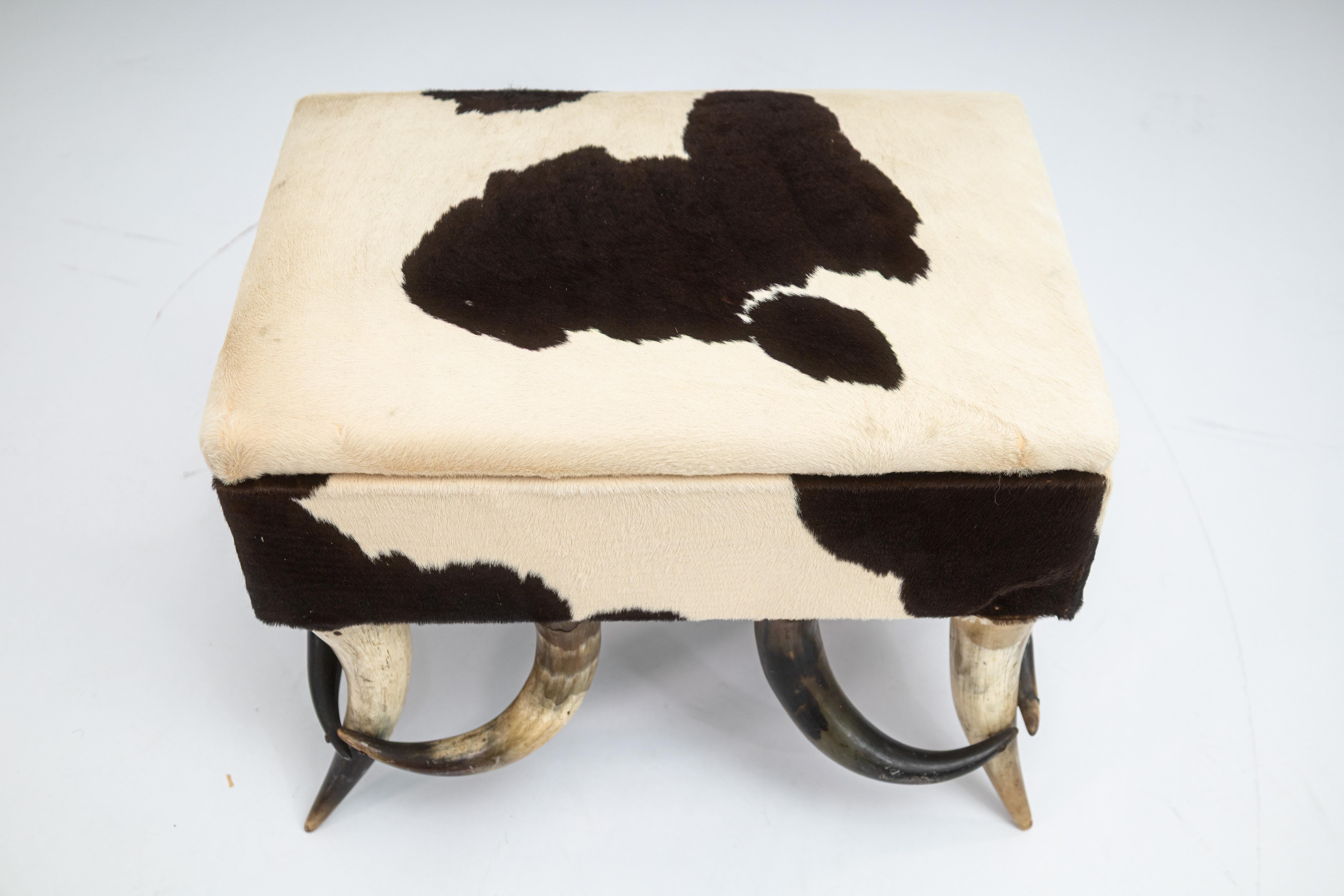 Un pouf contemporaneo in pelle di mucca e longhorn. Questo poggiapiedi rustico e moderno presenta un grazioso rivestimento superiore in pelle di mucca con un vano portaoggetti. Si trova su un set di quattro longhorn, con corna aggiuntive che