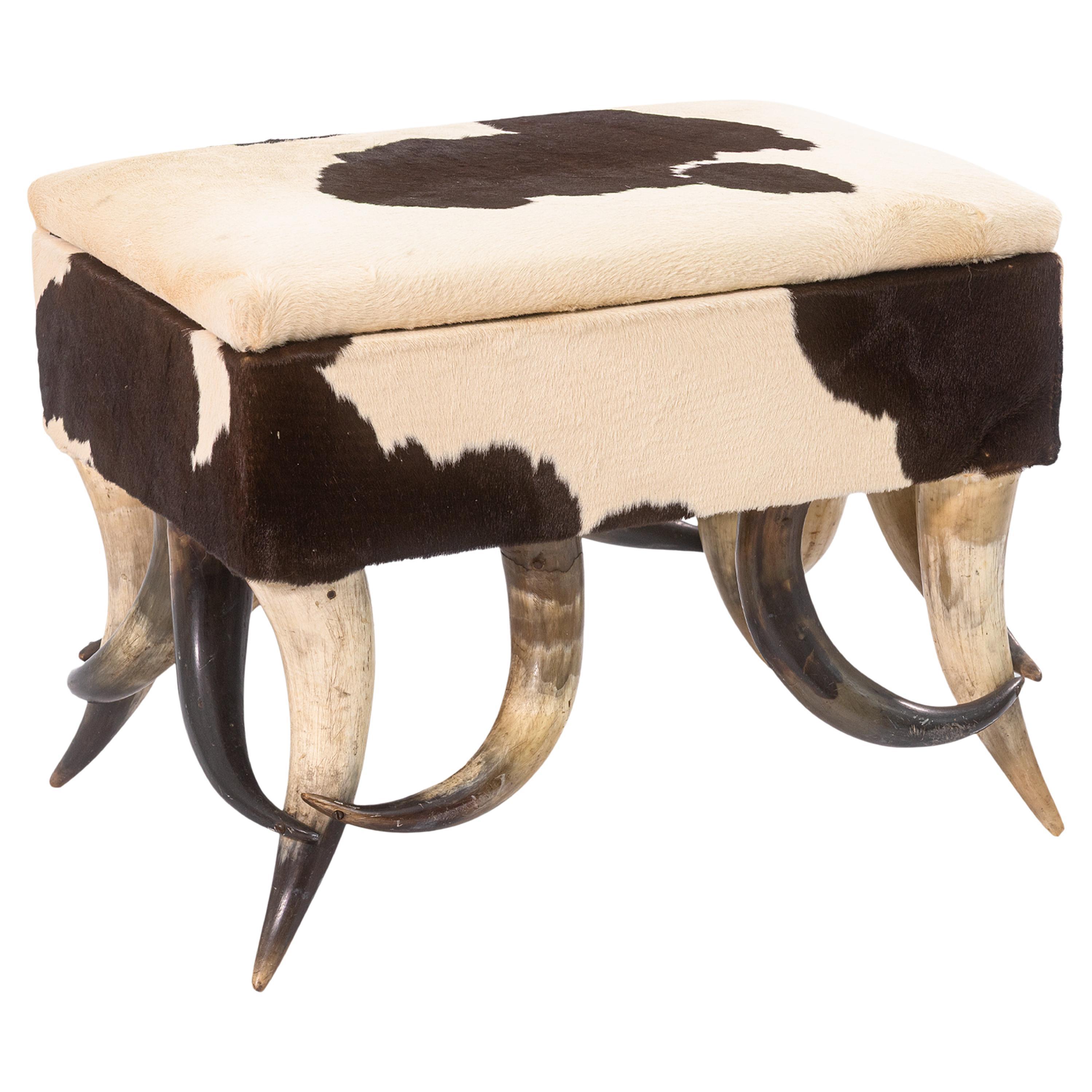 Contemporary Modern Cowhide Longhorn Ottoman Footstool with Storage