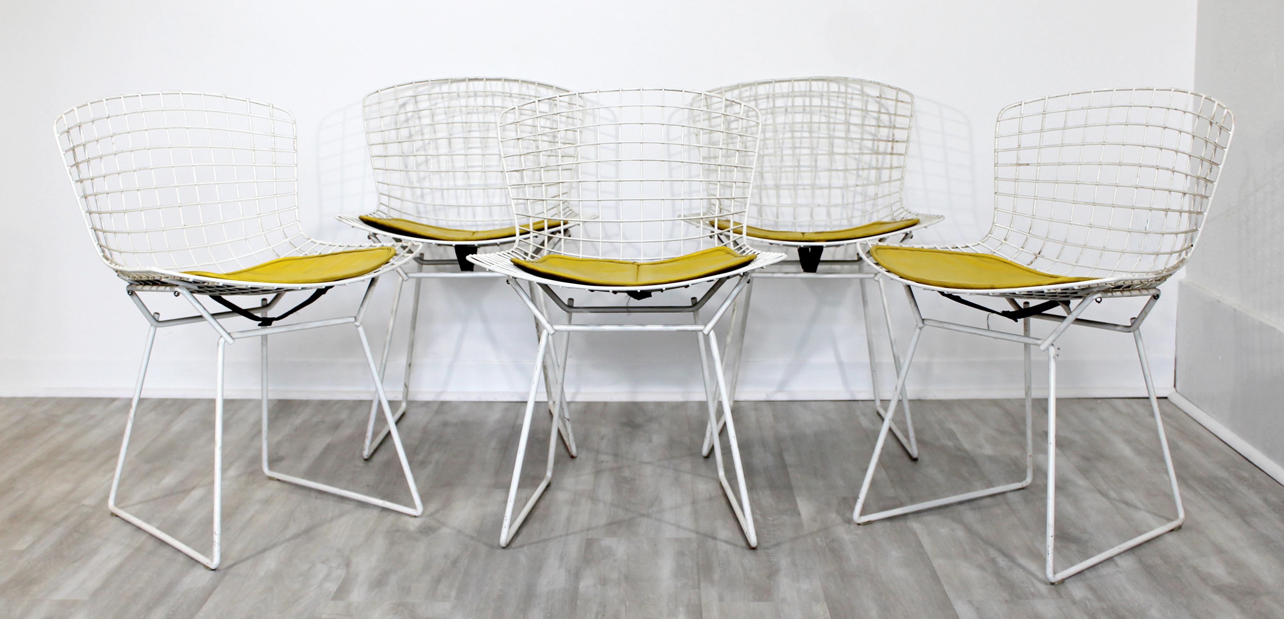 Mid-Century Modern Contemporary Modern Harry Bertoia for Knoll Set 5 Side Dining Chairs 1980 Yellow