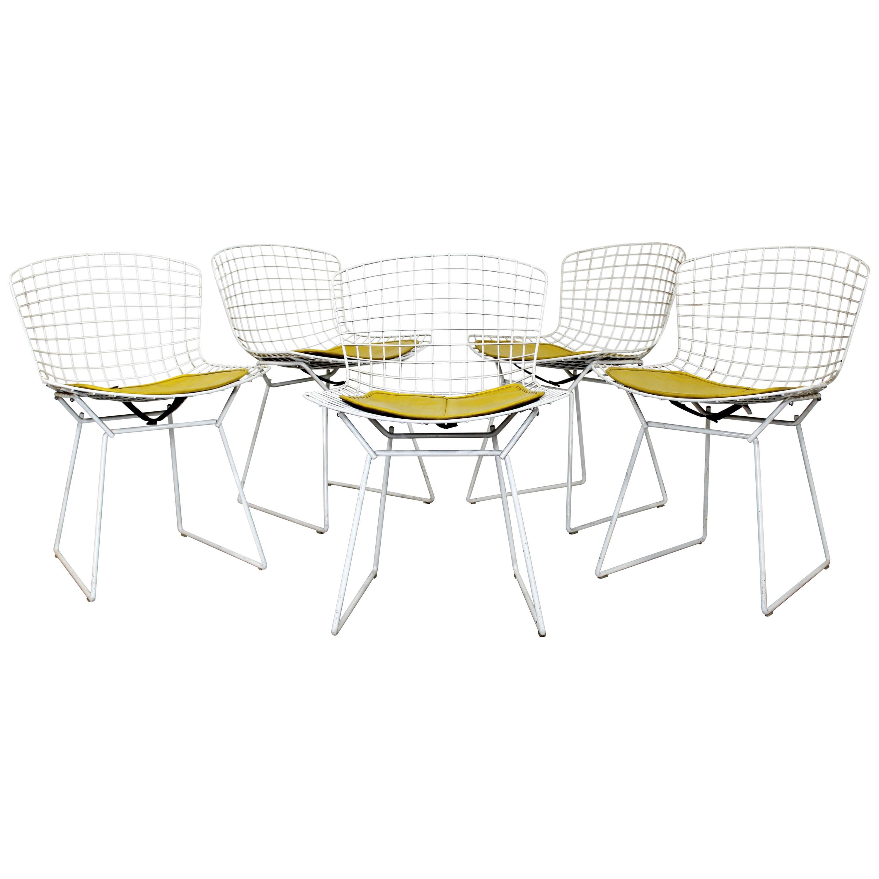 Contemporary Modern Harry Bertoia for Knoll Set 5 Side Dining Chairs 1980 Yellow