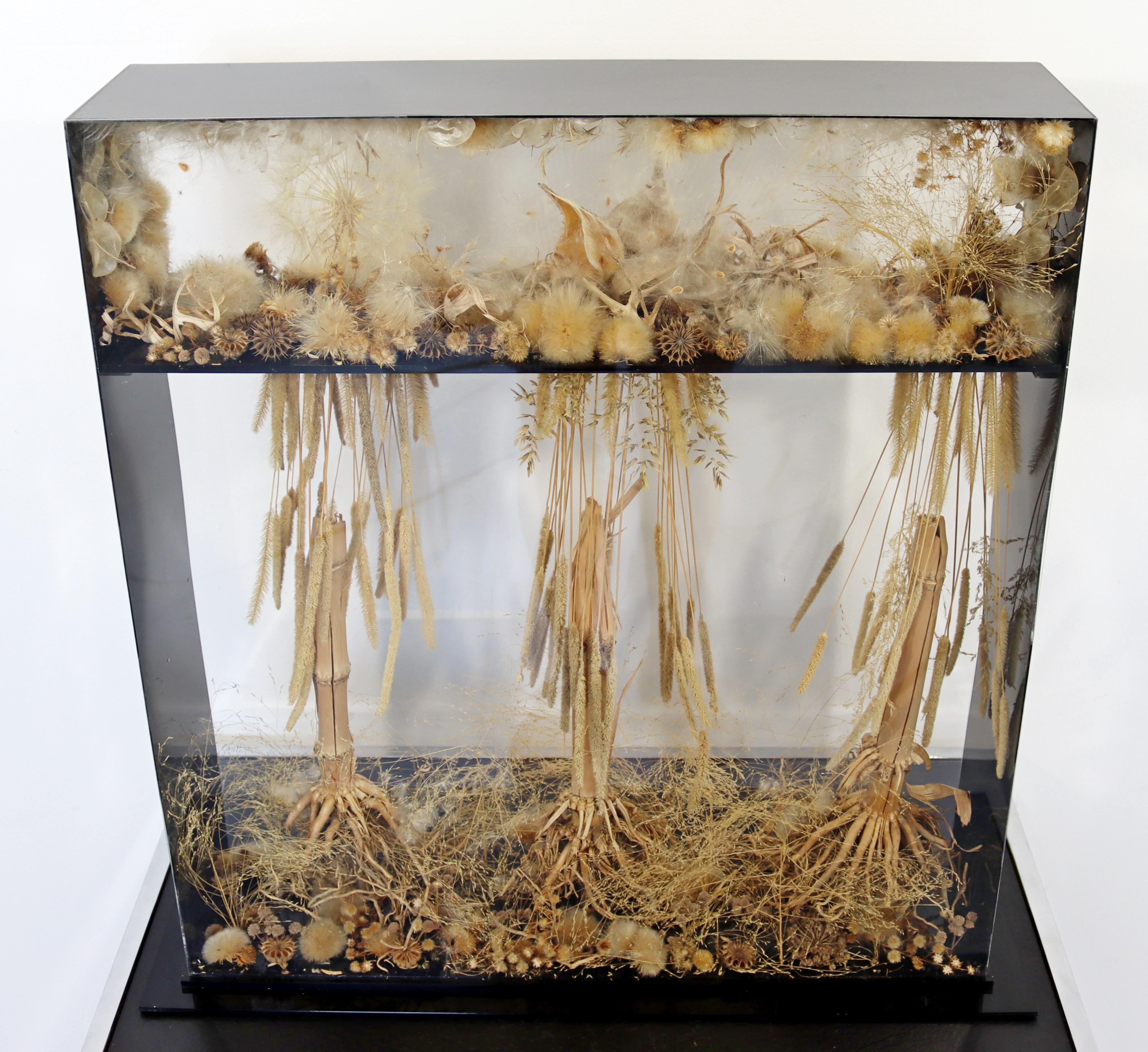 For your consideration is an intricate and organic style shadow box table sculpture, 