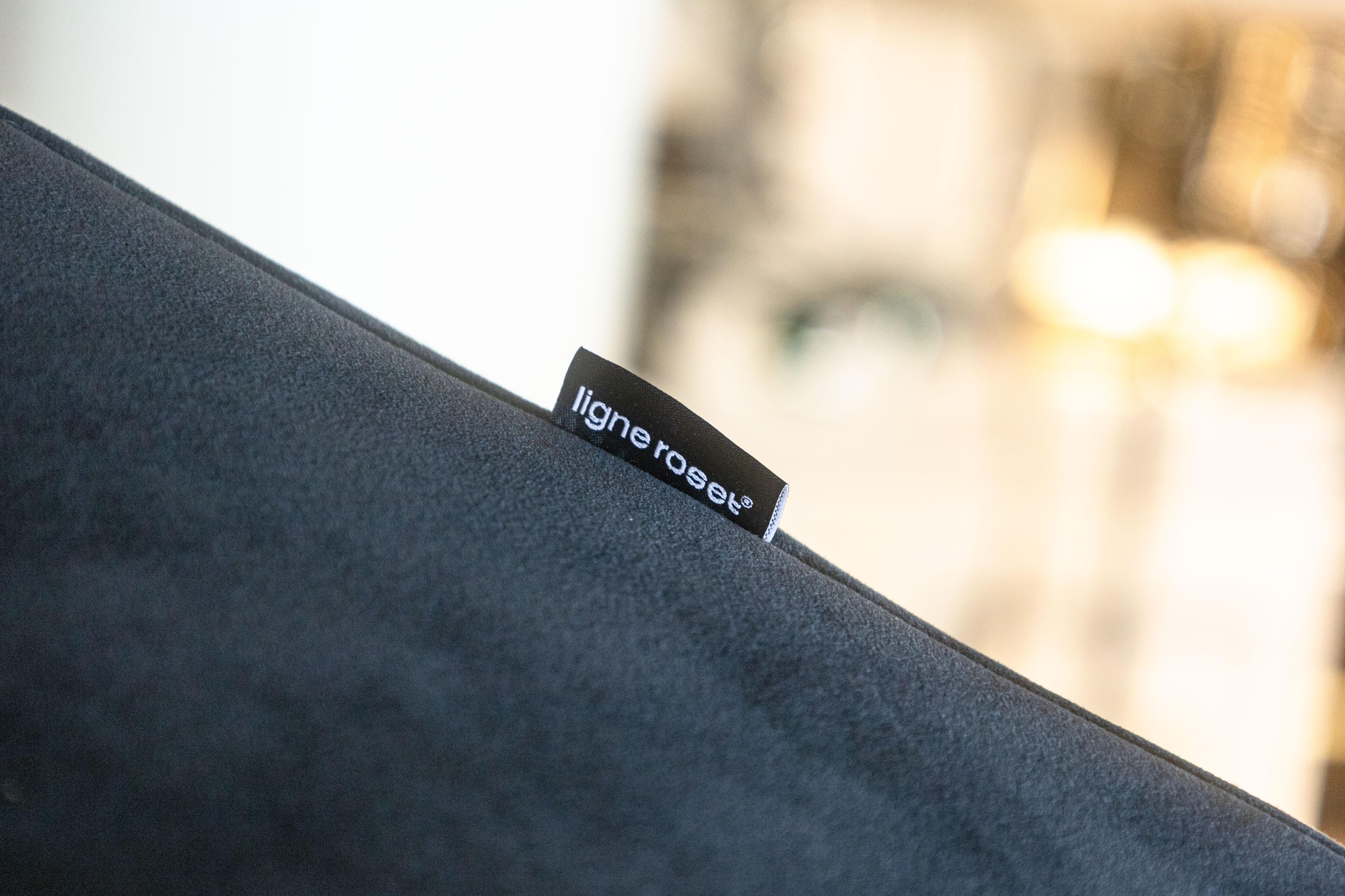 Contemporain Moderne Ligne Roset Prado Canapé-lit réglable par Christian Werner en vente 3