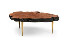 Contemporary Modern Live Edge Petrified Wood and Brass Coffee Table