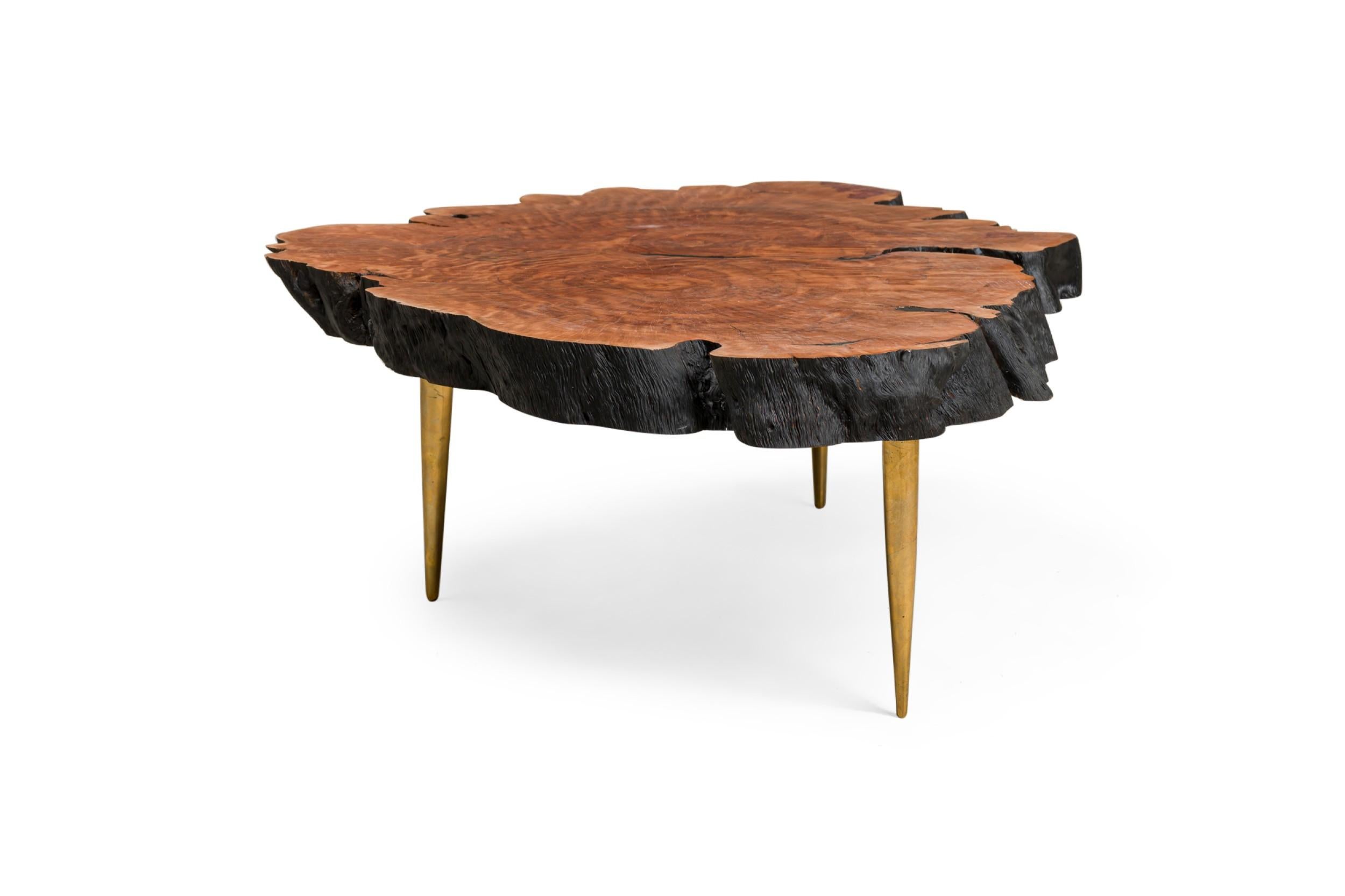 Mid-Century Modern Contemporary Modern Live Edge Petrified Wood and Brass Coffee Table For Sale