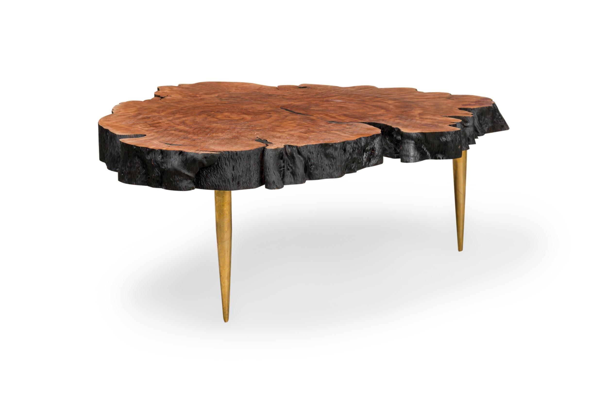 Asian Contemporary Modern Live Edge Petrified Wood and Brass Coffee Table For Sale