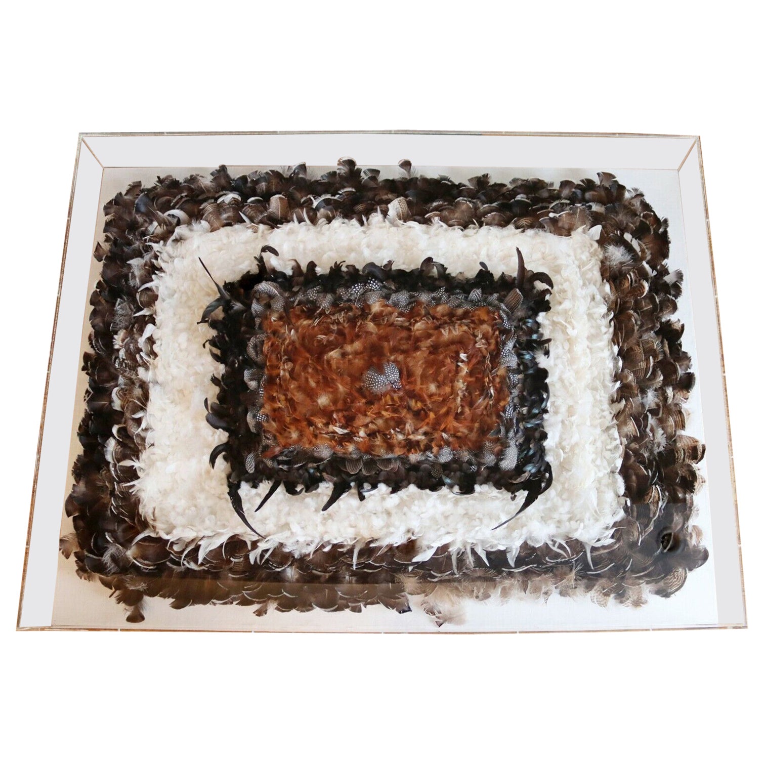 Contemporary Modern Lucite Framed Greg Copeland Style Feather Wall Art 1980s