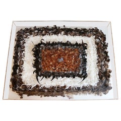 Contemporary Modern Lucite Framed Greg Copeland Style Feather Wall Art 1980s