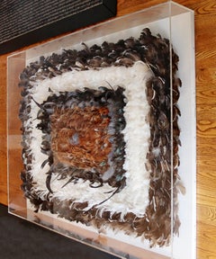 Contemporary Modern Lucite Framed Greg Copeland Style Feather Wall Art, 1980s