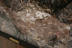 Contemporary Modern Mexican Photography Wooden Frame by JC Martinez Jimenez