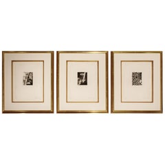 Contemporary Modern Set of Three Framed Lithographs Jasper Johns Signed Numbered