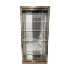 Vintage Contemporary Modern Two-Door Display Metal Vitrine/Cabinet