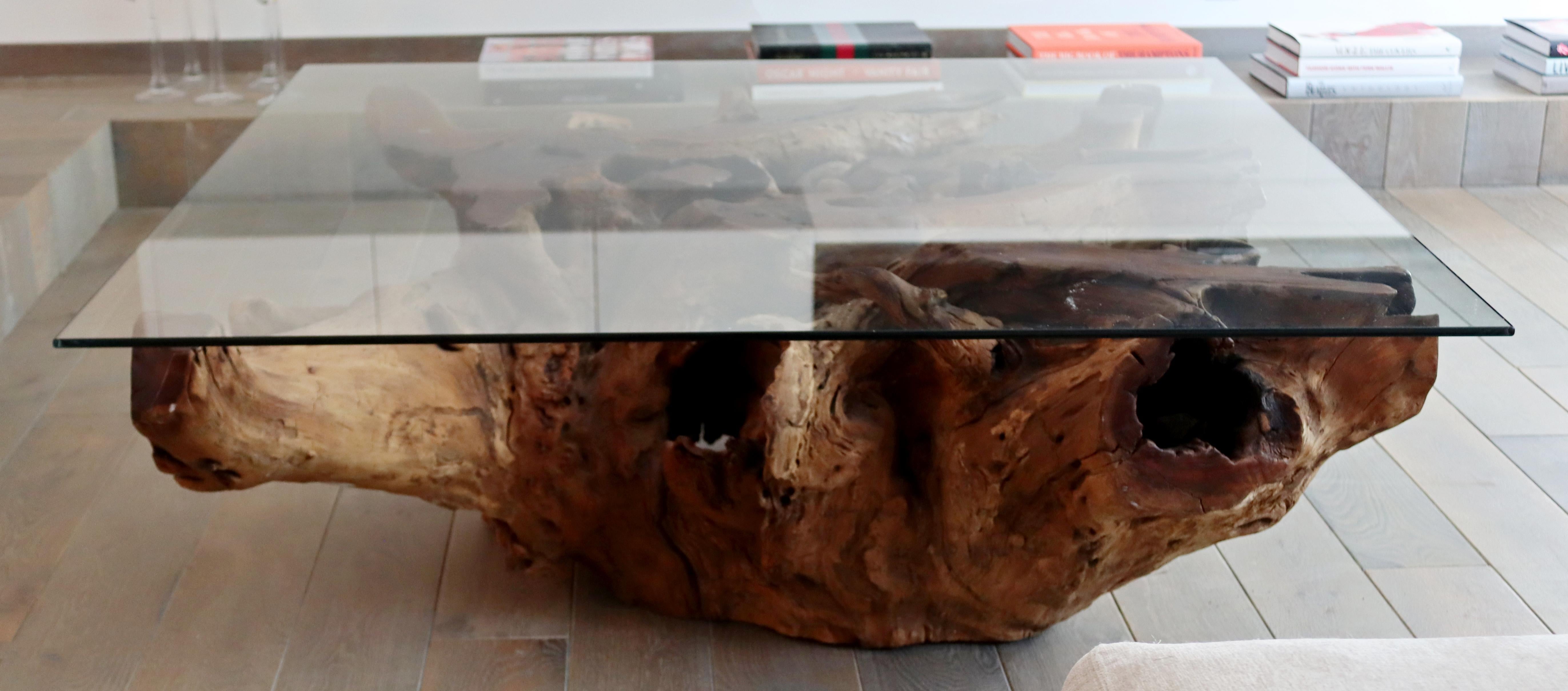 Contemporary Modernist Large Square Drift Wood & Glass Coffee Table 8
