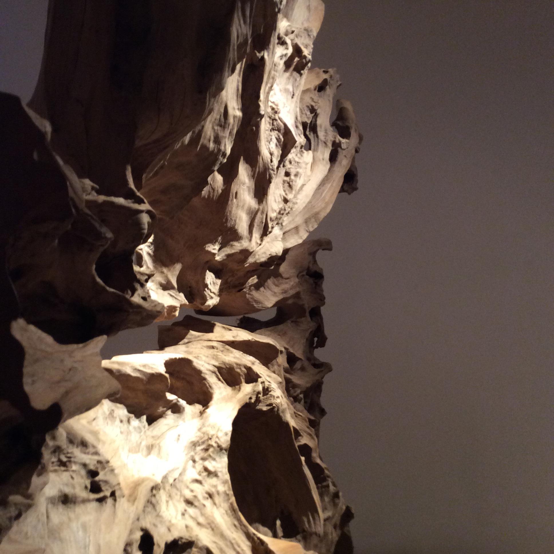 Spectacular free-standing sculpture of an immense teak root from Java. The pale natural root fans out forming a craggy openwork lattice and ensuring dramatic shadows. The French artist, Jerome Abel Seguin, has left the surface matt, resulting in a