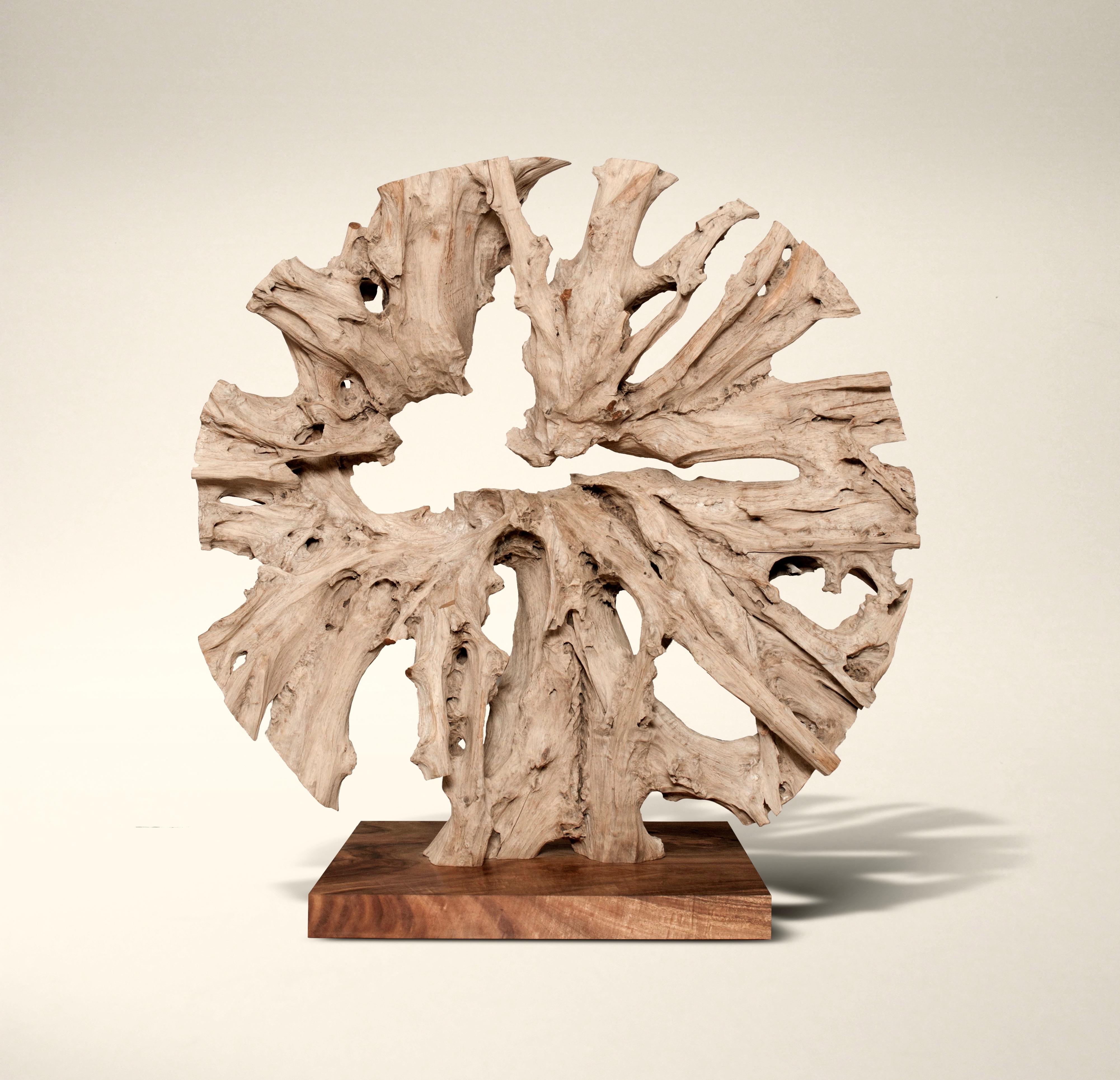 Wood Contemporary Monumental Teak Root Sculpture by Jerome Abel Seguin