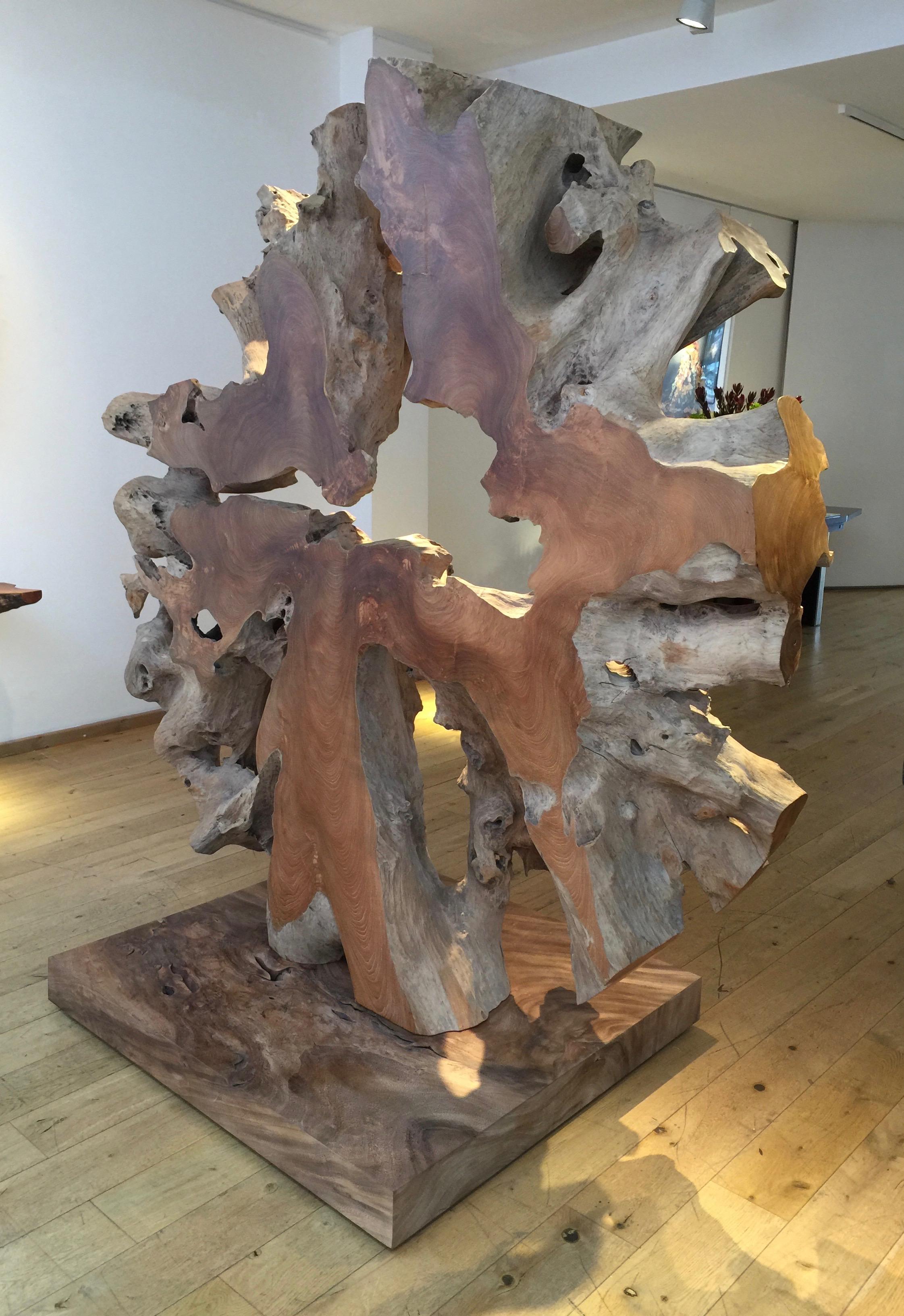 Contemporary Monumental Teak Root Sculpture by Jerome Abel Seguin 1