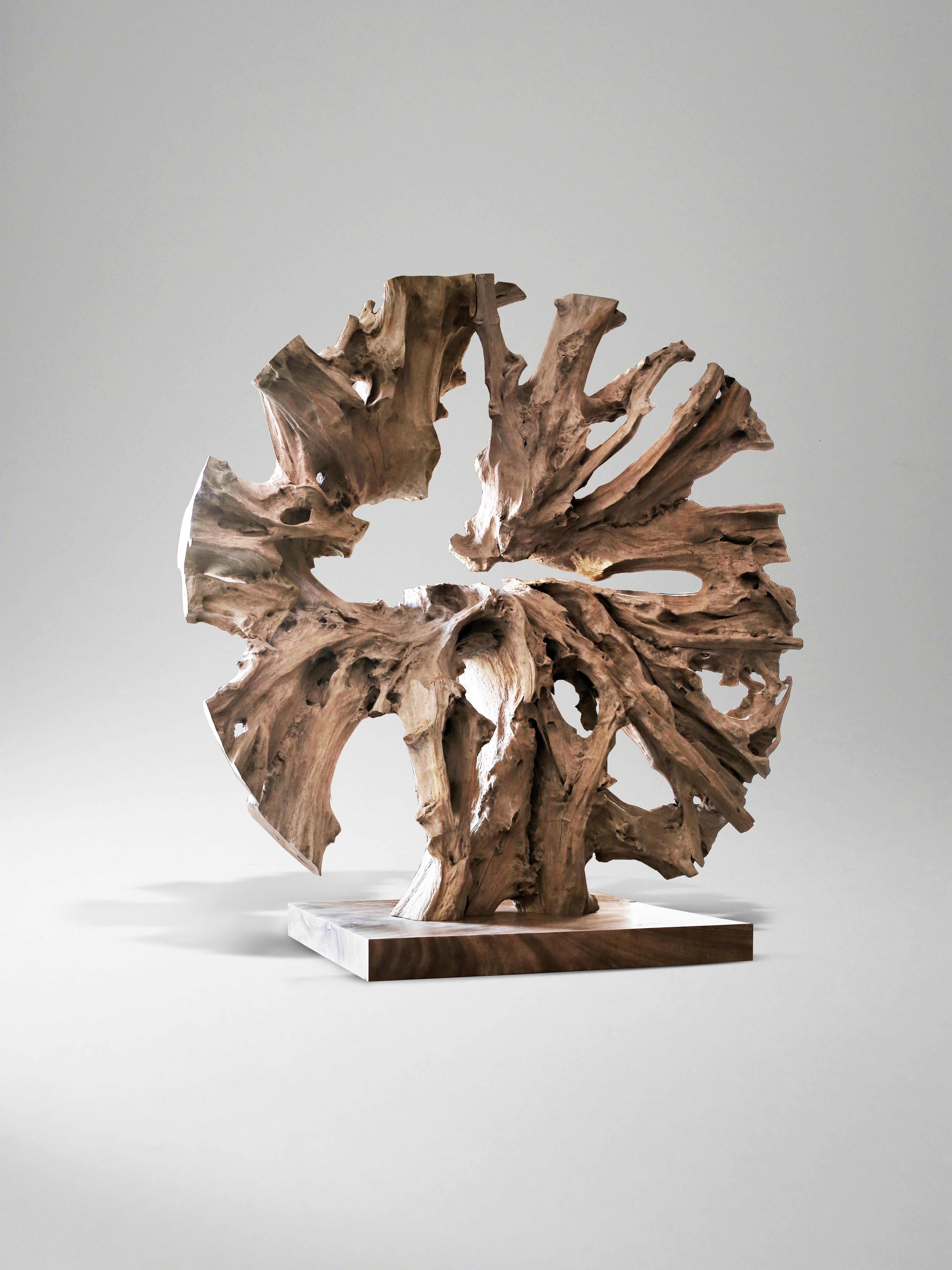 Contemporary Monumental Teak Root Sculpture by Jerome Abel Seguin 2