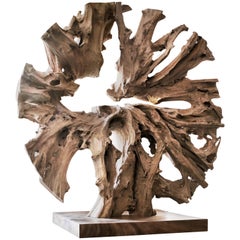 Contemporary Monumental Teak Root Sculpture by Jerome Abel Seguin