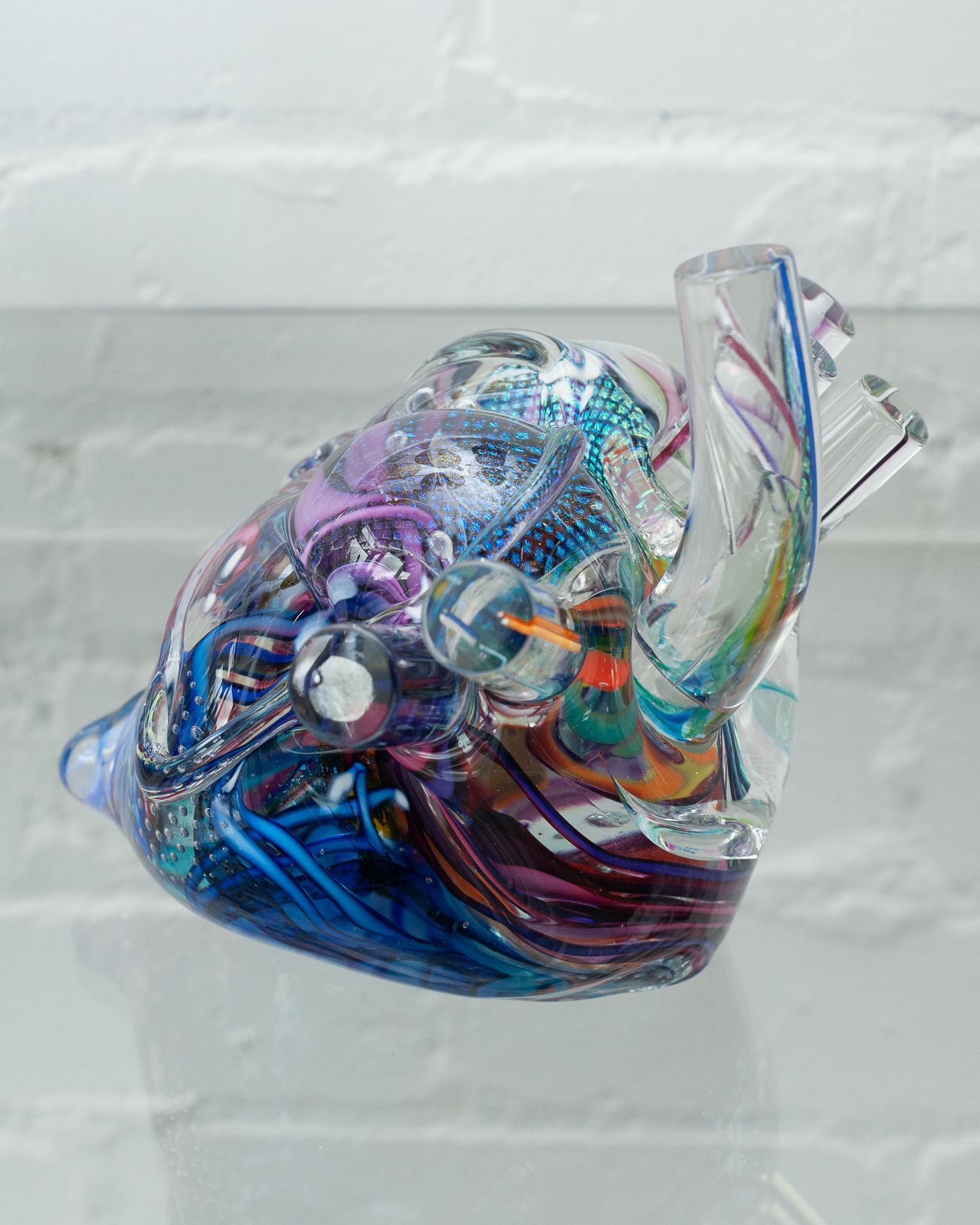 anatomical heart glass
