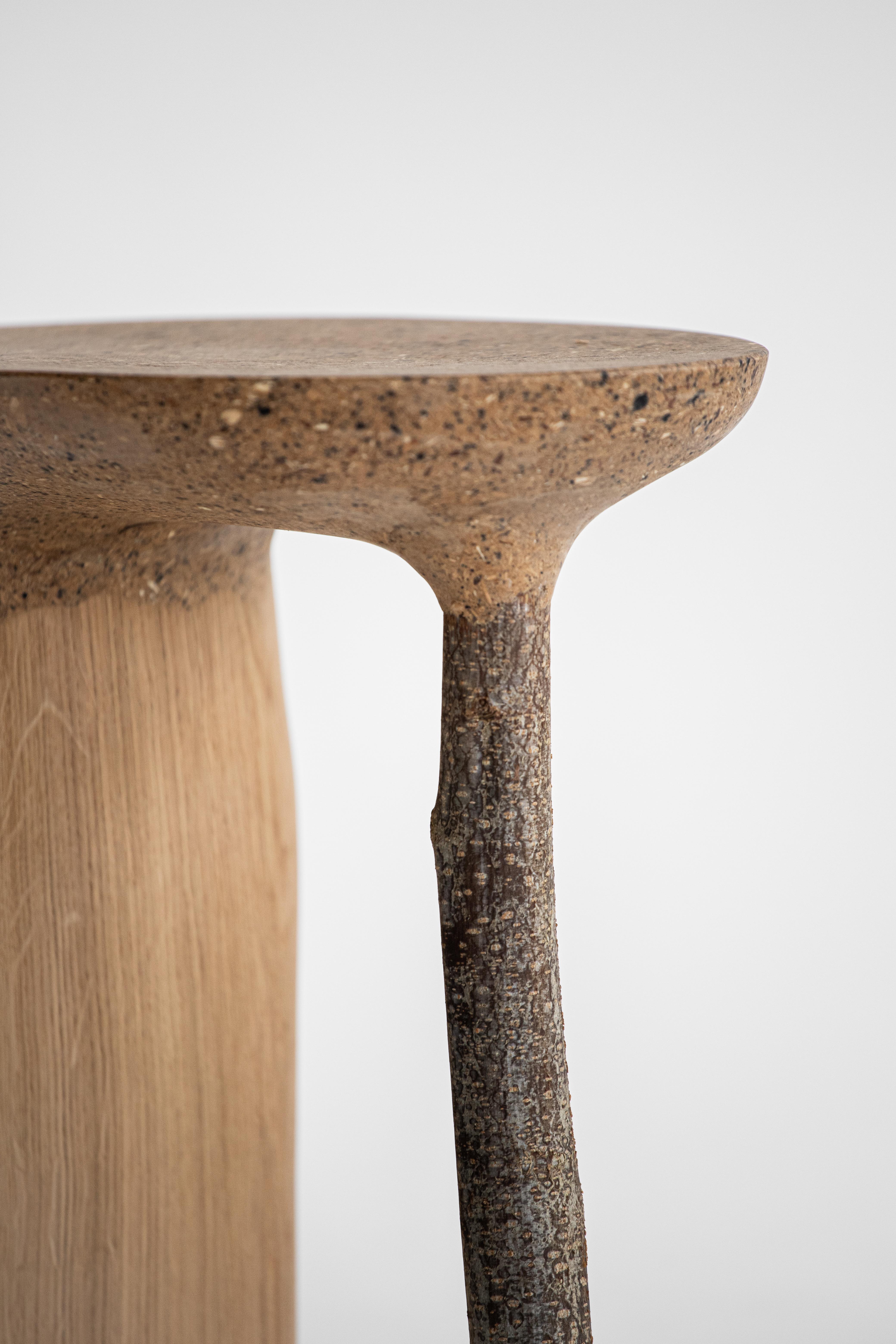 Contemporary Not Wasted Side Table 02 by Cedric Breisacher In New Condition For Sale In 1204, CH