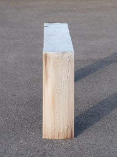 Contemporary one of a kind Cinnamon Cloud Console