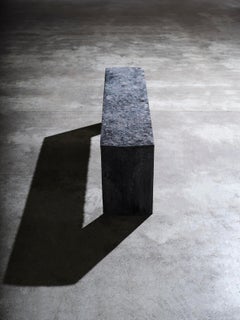 Contemporary one of a kind Ebony Ice Bench