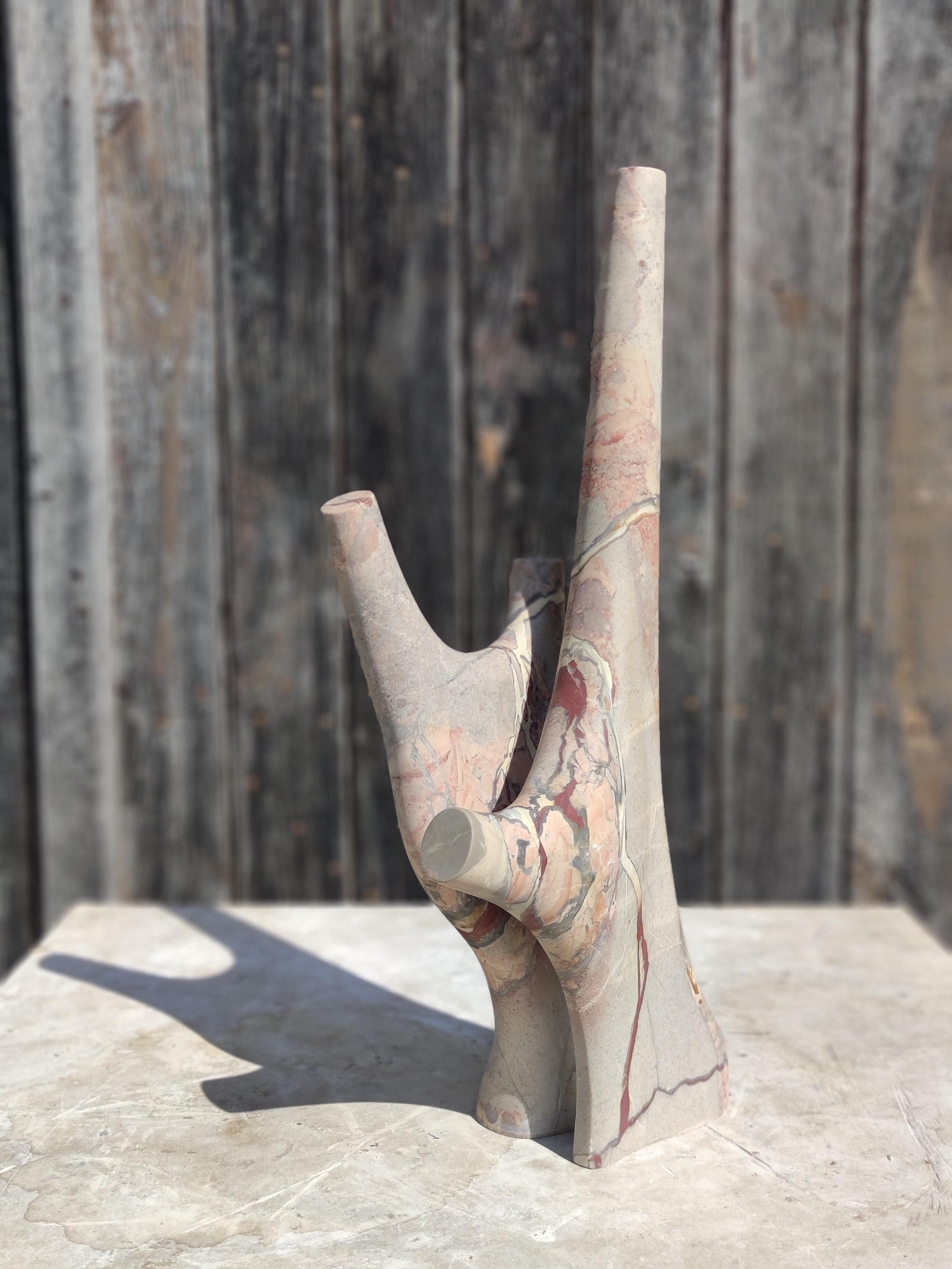 Tom Jablin is a sculptor who expresses organic shapes though marble as my main medium. Hisy work is driven by contemplation of nature, the oceanic universe, as well as human and animal bodies. From his work shop in the South West of France he shapes