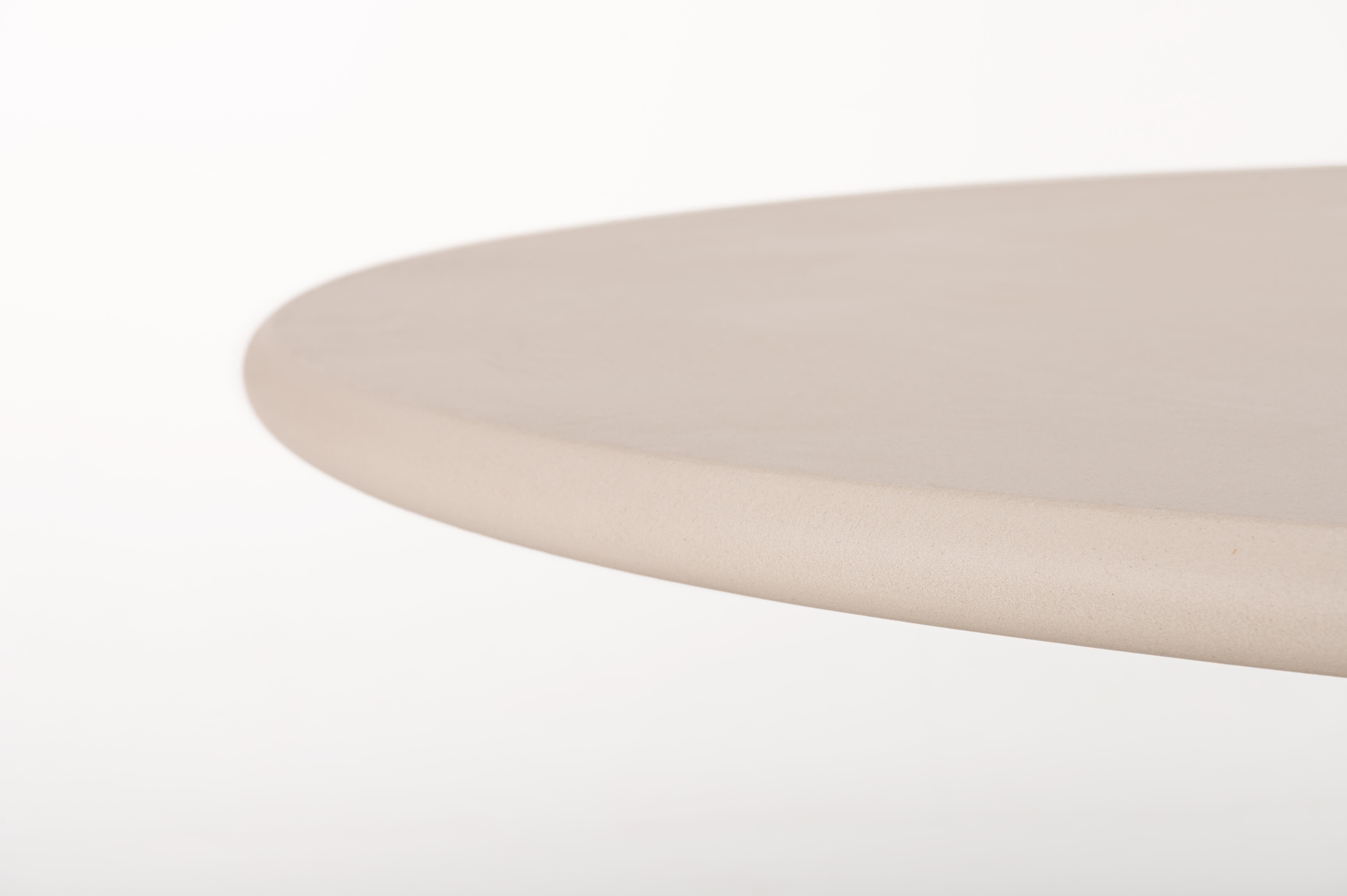 Contemporary Organic Natural Plaster 