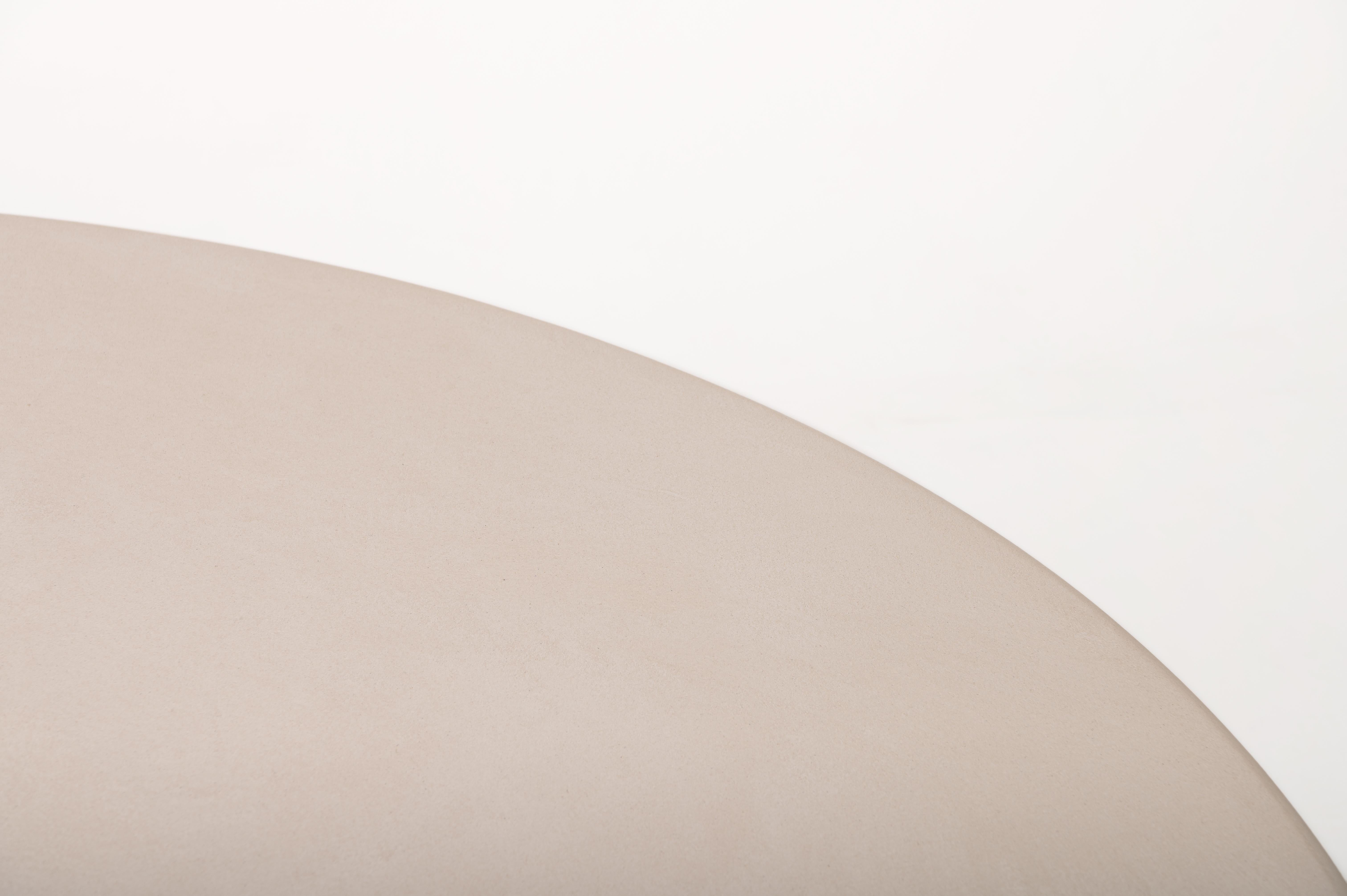 Contemporary Organic Natural Plaster 