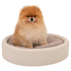 Contemporary Organic Round Natural Plaster "Sami" Dog Bed by Isabelle Beaumont