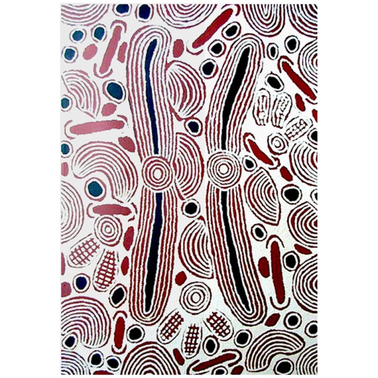 Contemporary Painting by Australian Aboriginal Artist Nigura Napurrula
