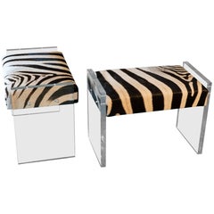 Contemporary Pair of Zebra Stools and Clear Plexiglass, Italy 2018