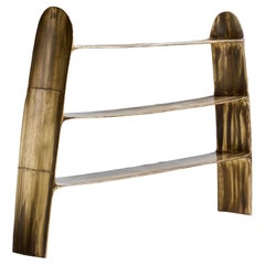 Contemporary Patinated Brass Calle Bookshelf with organic shape
