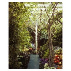 Contemporary Paula Anta "Seul 01" Series "Artificial Paradise" Photography